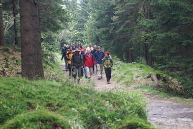 Nationalpark Harz