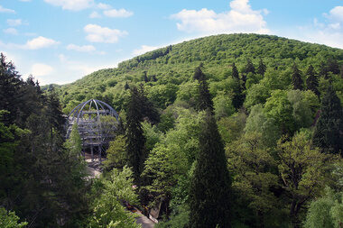 Baumwipfelpfad Harz