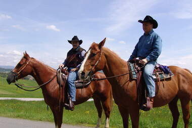 Pullman City Harz